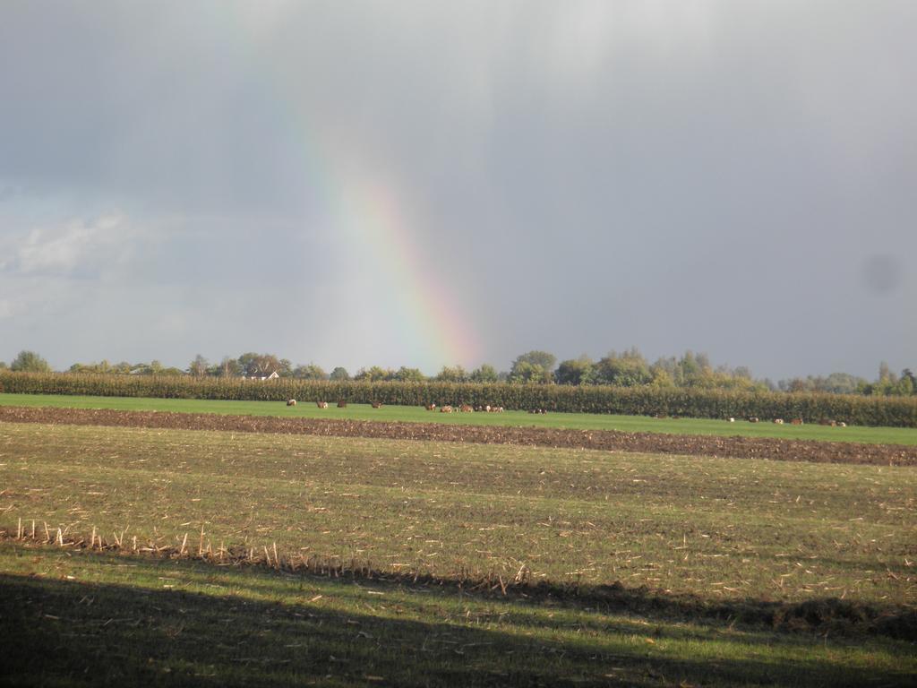 Boerderij De Zalm Bed & Breakfast Schalkwijk ภายนอก รูปภาพ